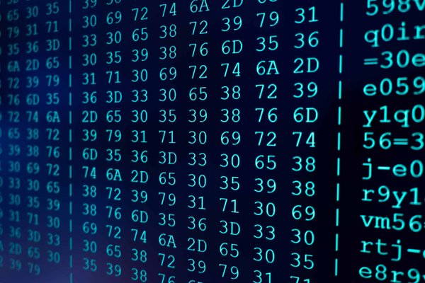 Comment développer un programme de conservation des zones humides pour les oiseaux migrateurs ?