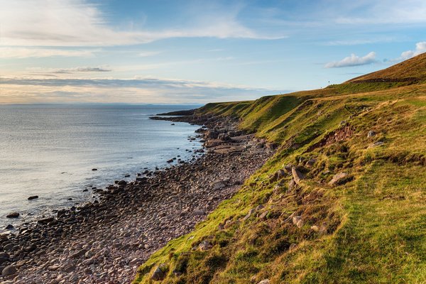 Canapé d'angle en cuir : élégance intemporelle et raffinement