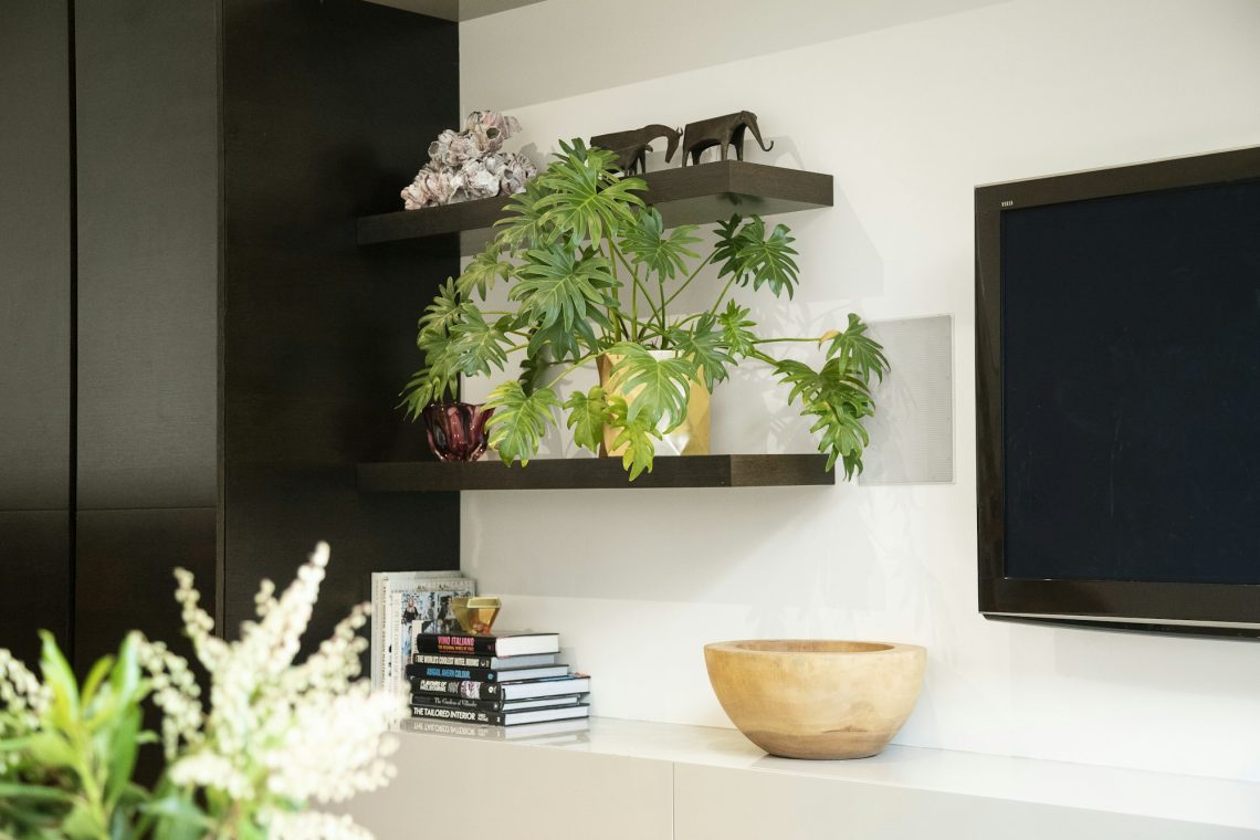 Quels sont les avantages de décorer son salon avec des plantes ?